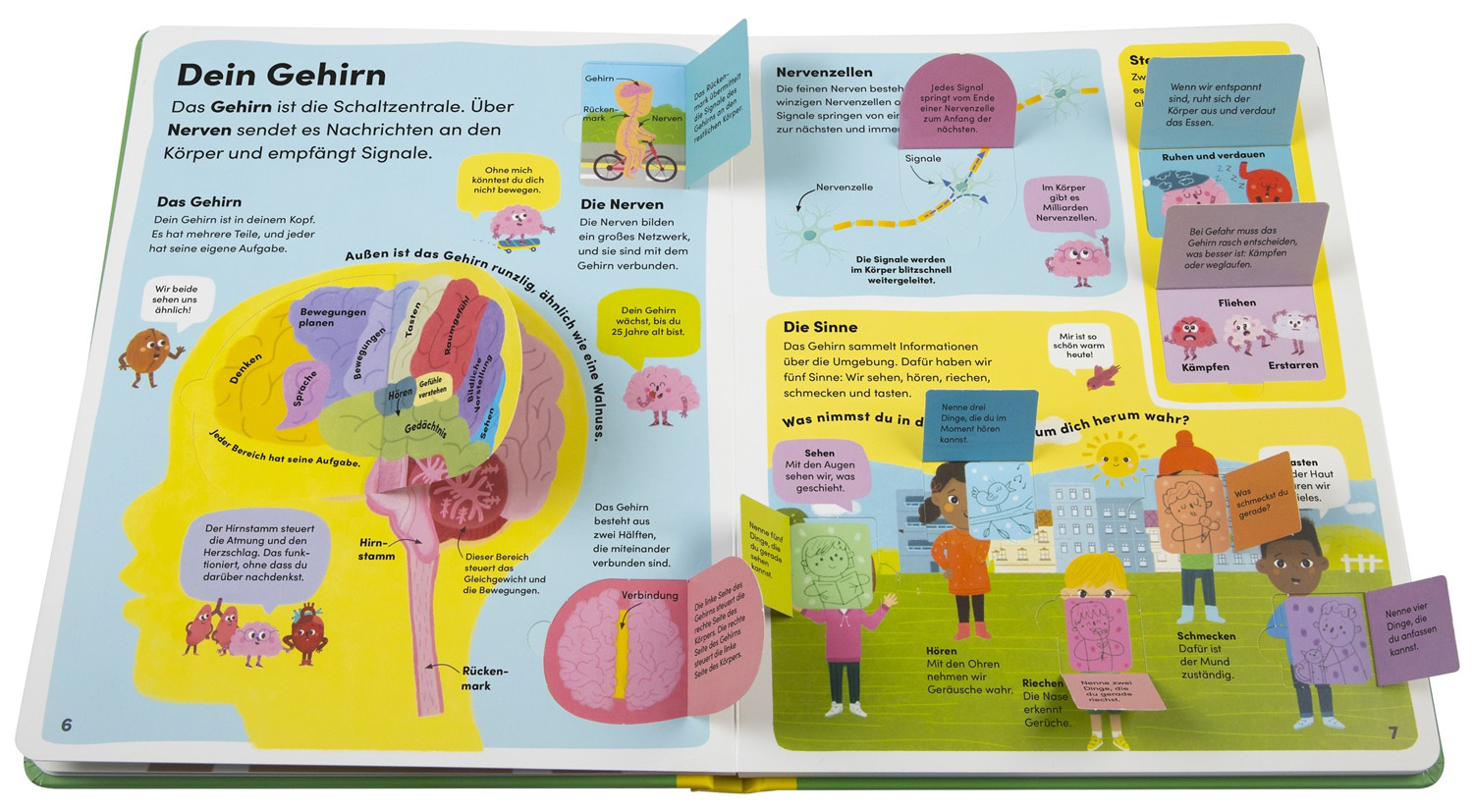 »Mein Körper« — DORLING KINDERSLEY