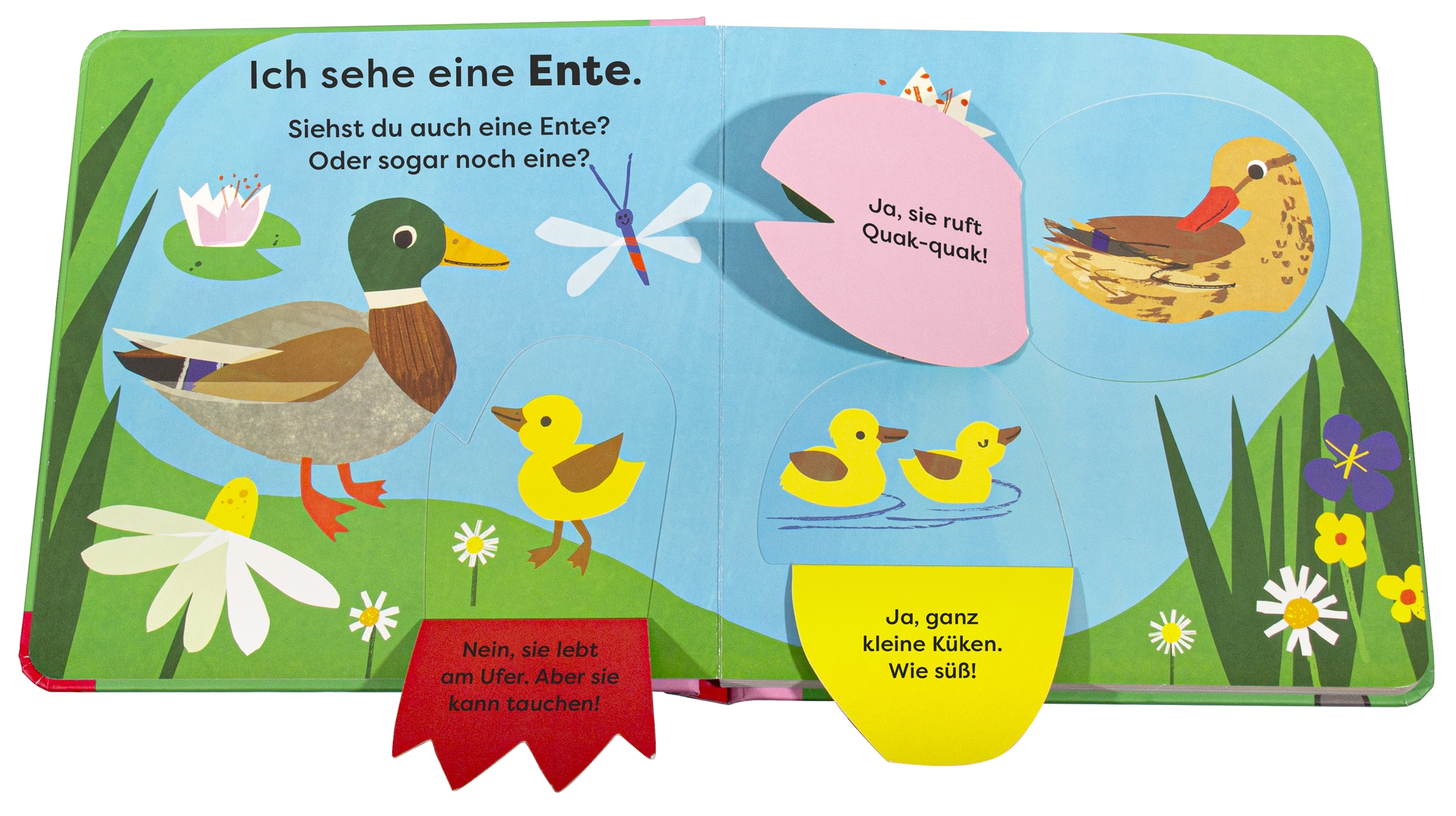 »Mein erstes Natur-Entdeckerbuch. Da! Eine Ente« — DORLING KINDERSLEY