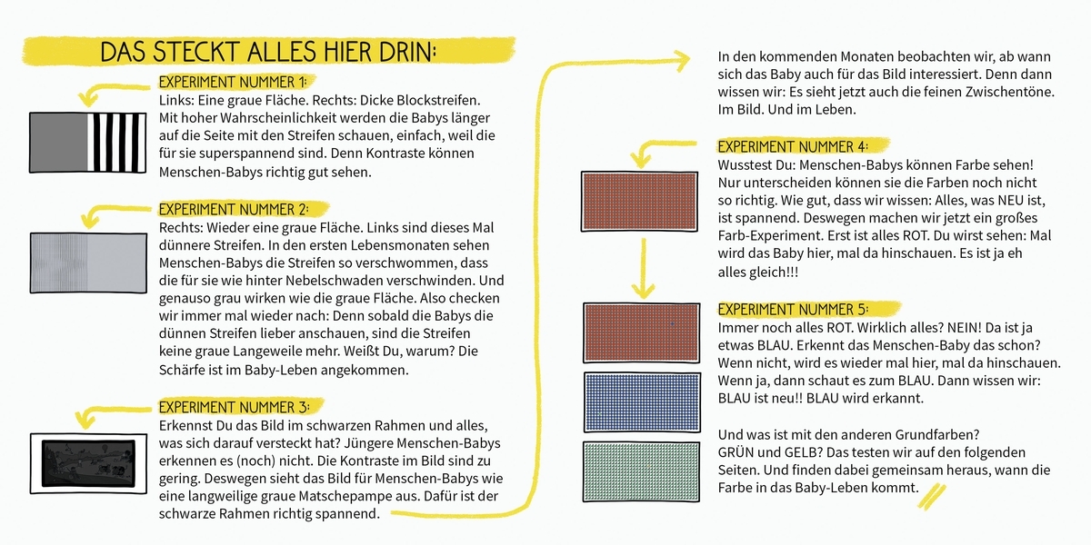 »BiBiBiber hat da mal 'ne Frage. Warum können Babys nix? Farbe & Kontrast« — OETINGER