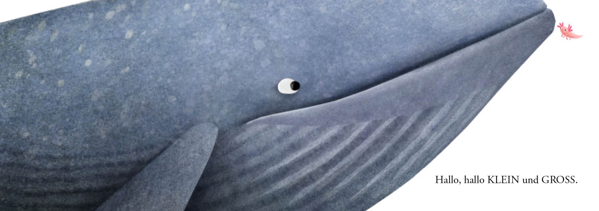 »Hallo Hallo - Gegensätze« — EDITION MICHAEL FISCHER