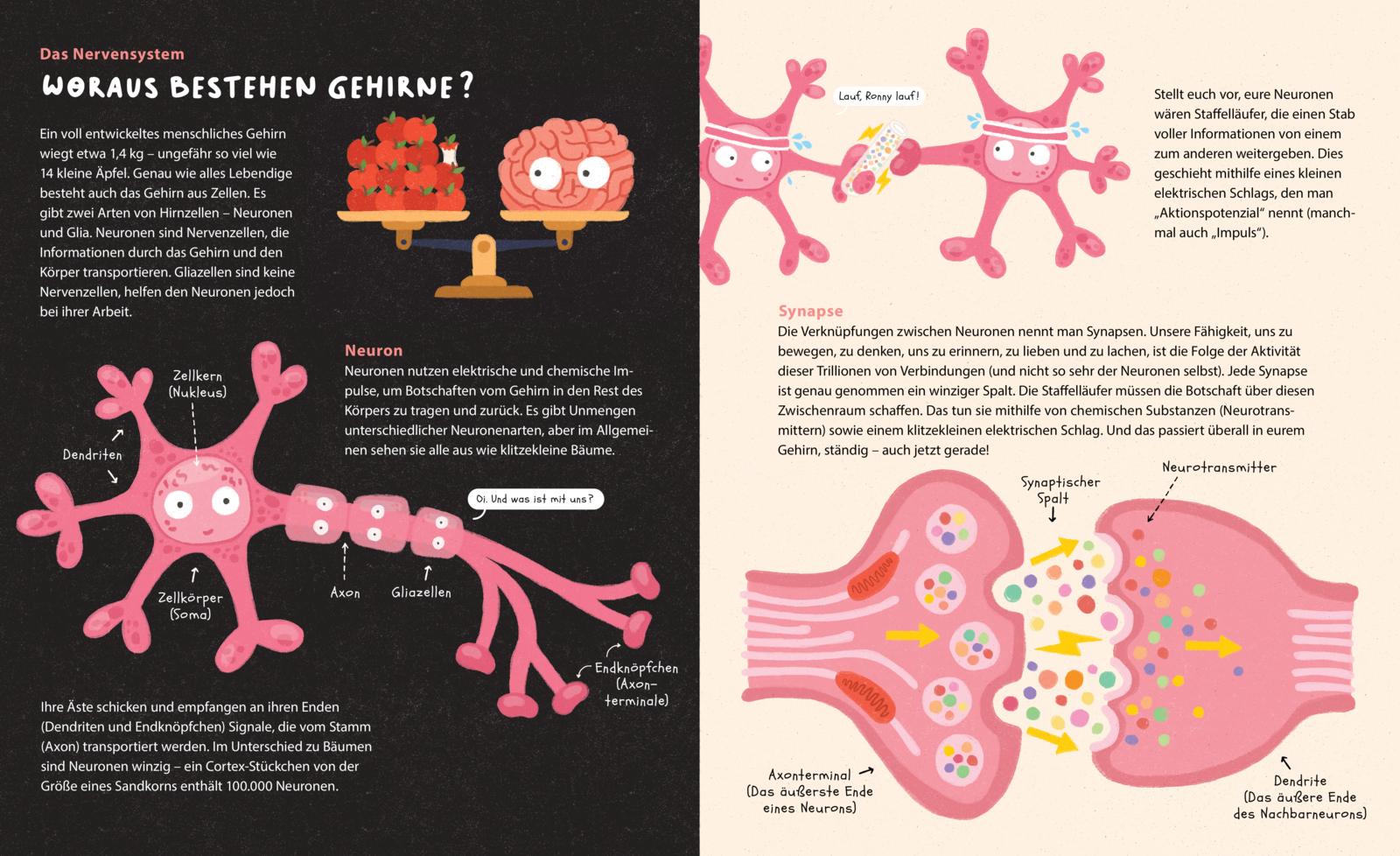 »Dein geniales Gehirn« — GABRIEL
