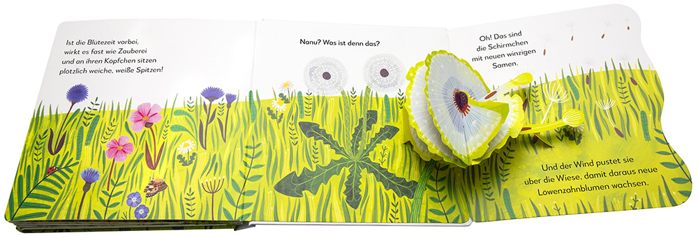 »Mein Pop-up-Buch zum Staunen. Wo kommst du her, kleiner Löwenzahn?« — DORLING KINDERSLEY