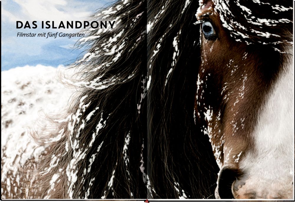 »Lebensgroß: Pferde aus aller Welt« — COPPENRATH