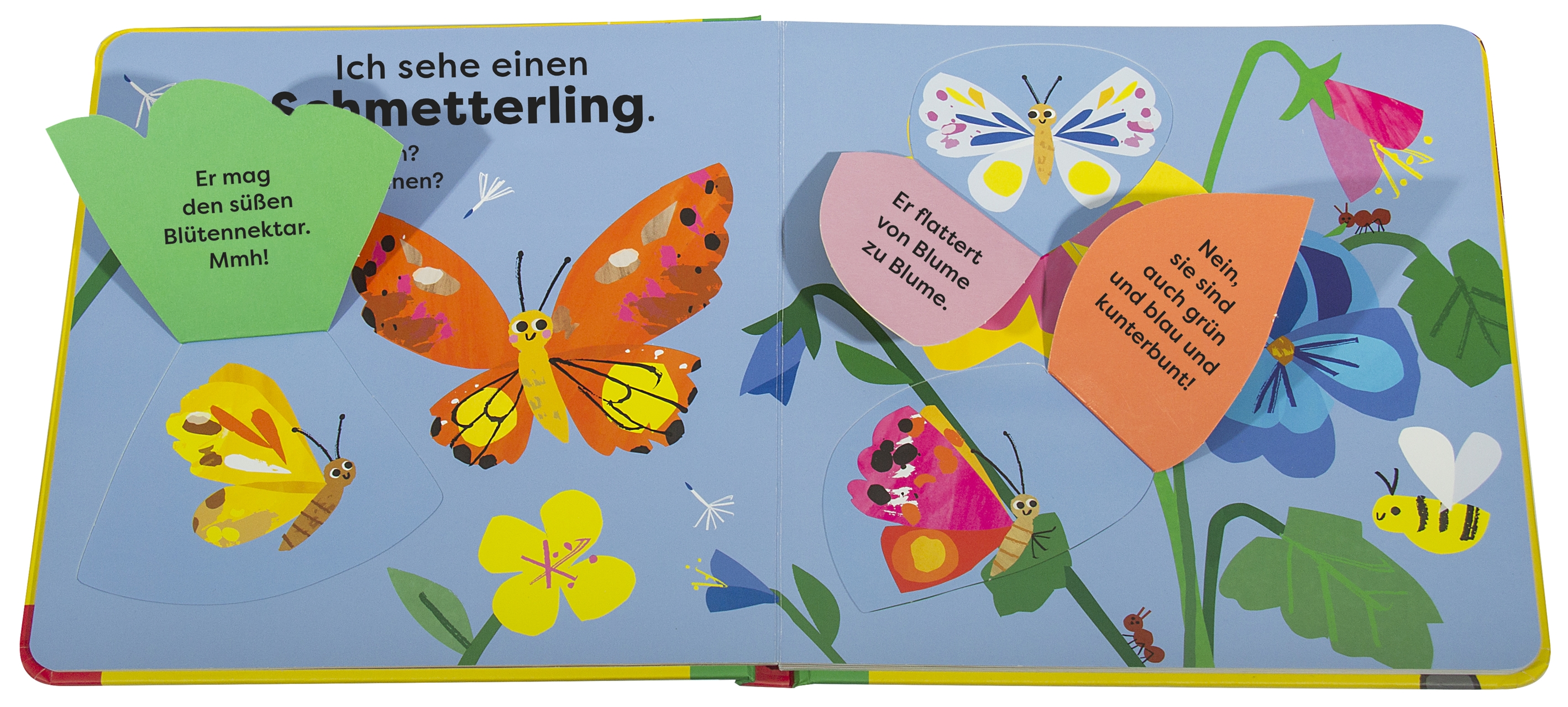 »Mein erstes Natur-Entdeckerbuch. Da! Eine Schnecke« — DORLING KINDERSLEY