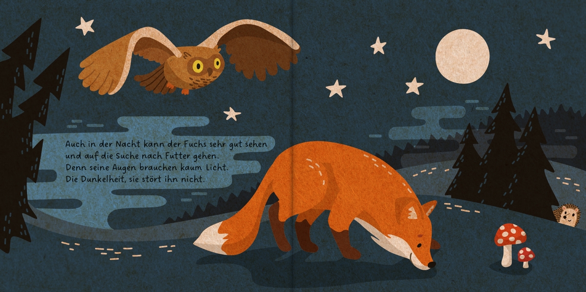 »Meine Waldfreunde. Der kleine Fuchs« — OETINGER