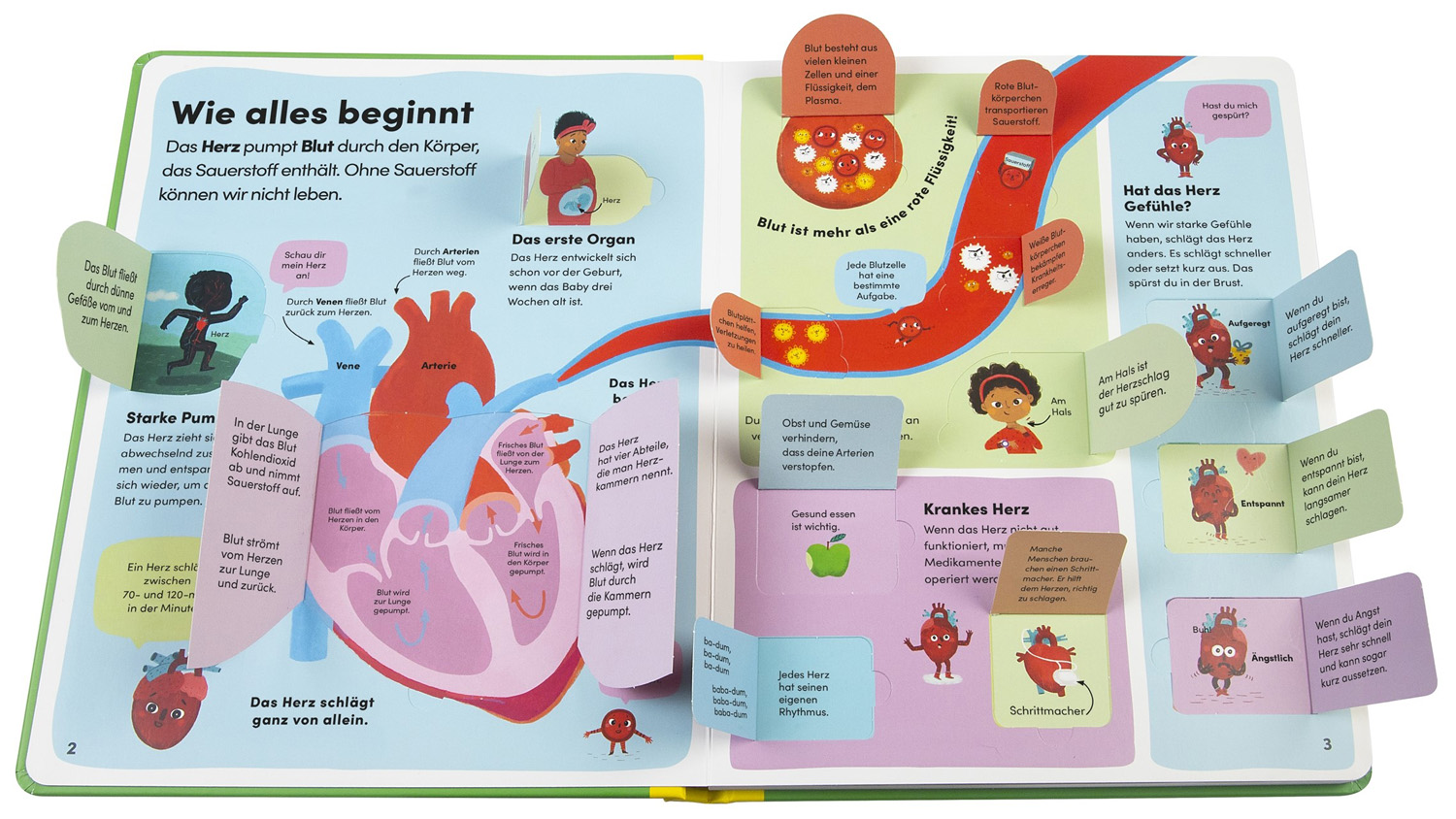 »Mein Körper« — DORLING KINDERSLEY