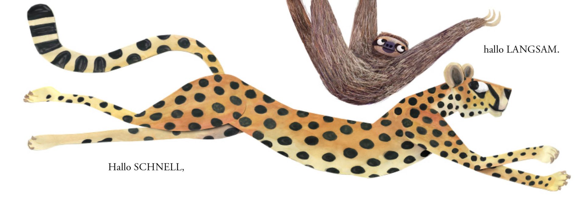 »Hallo Hallo - Gegensätze« — EDITION MICHAEL FISCHER