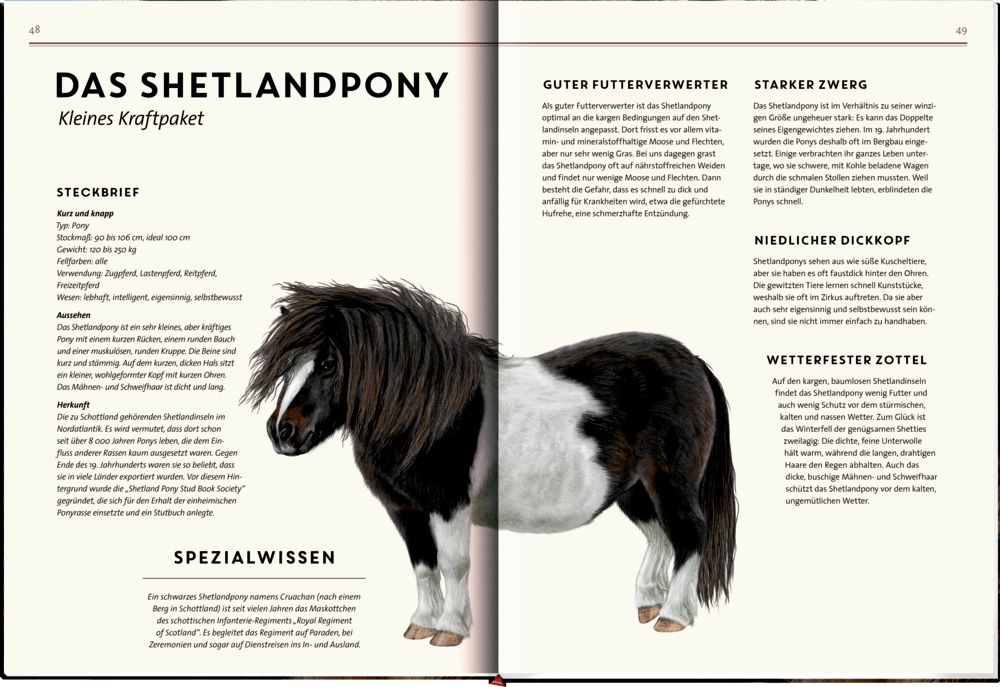 »Lebensgroß: Pferde aus aller Welt« — COPPENRATH