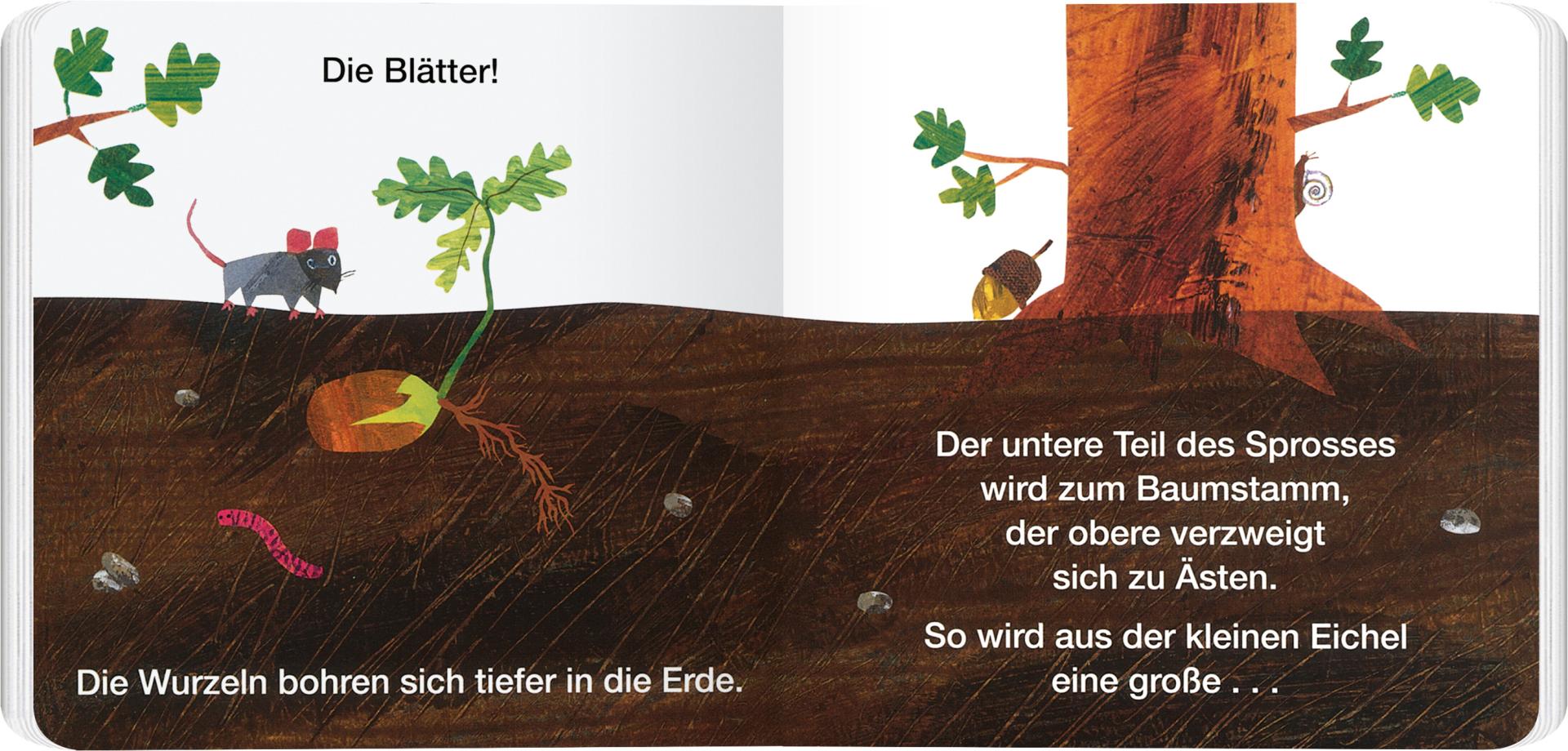 »Vom Samen zum Baum« — GERSTENBERG